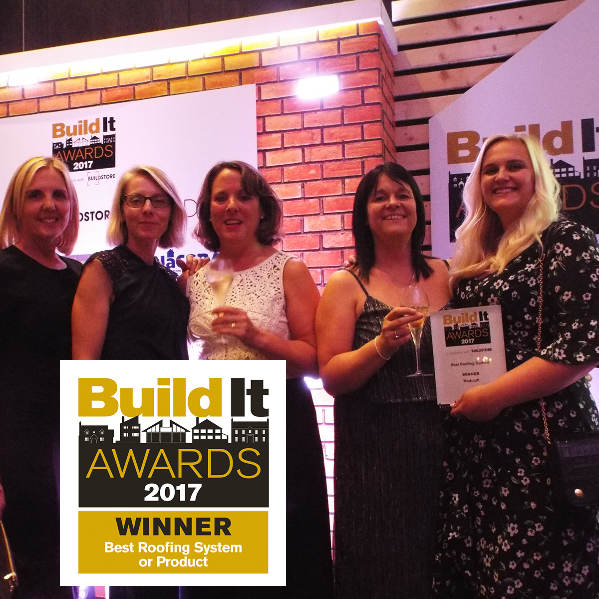 loft conversion awards win: Build It awards Winner for best roofing system