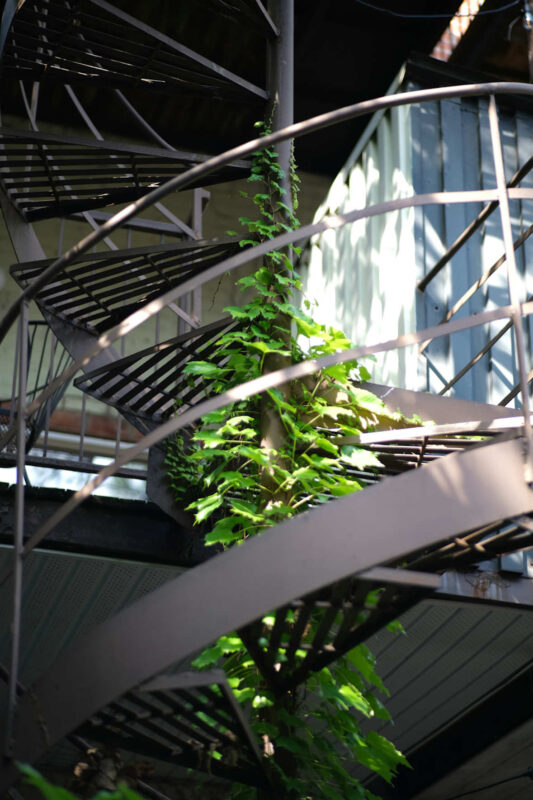 A steel spiral staircase.